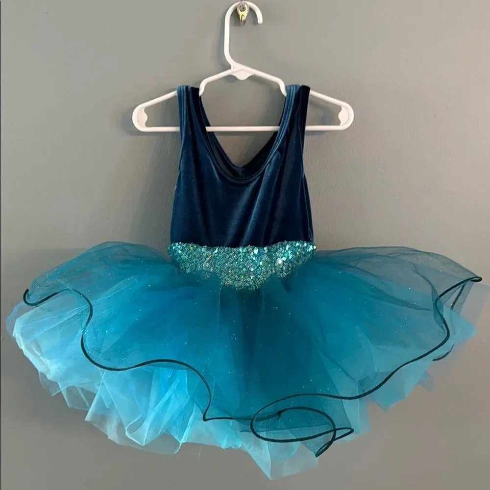 Girl’s Small blue Ballet Tutu Dress Dance Fairy Princess dress ~ Dress Up